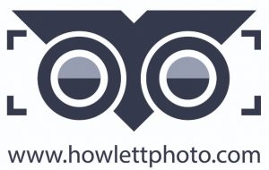web logo