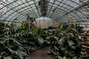 Greenhouse