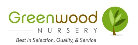 web logo